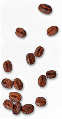 About Coffee Beans Image